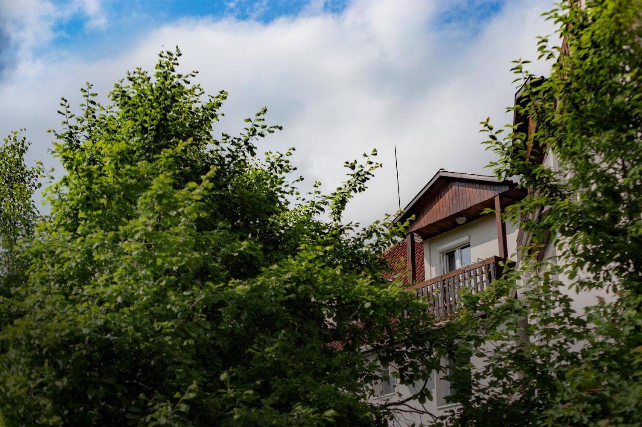 Bed and Breakfast Alabastrom Panzio Es Etterem Bogács Exterior foto
